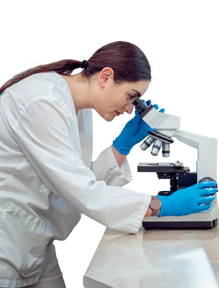 <em>Advantages of </em>Vemo Corp.